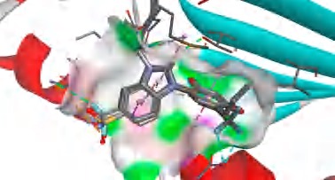 MSLD Hsp90 結合位點