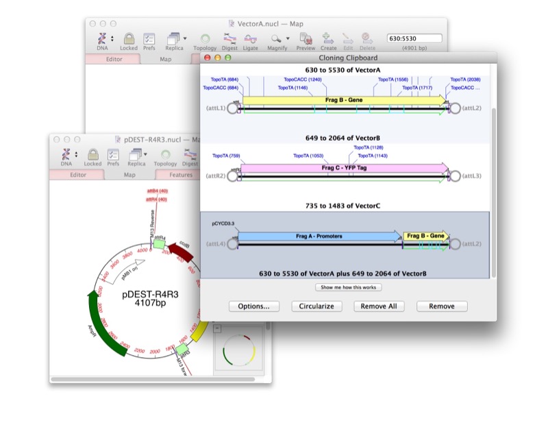 MacVector Click Cloning