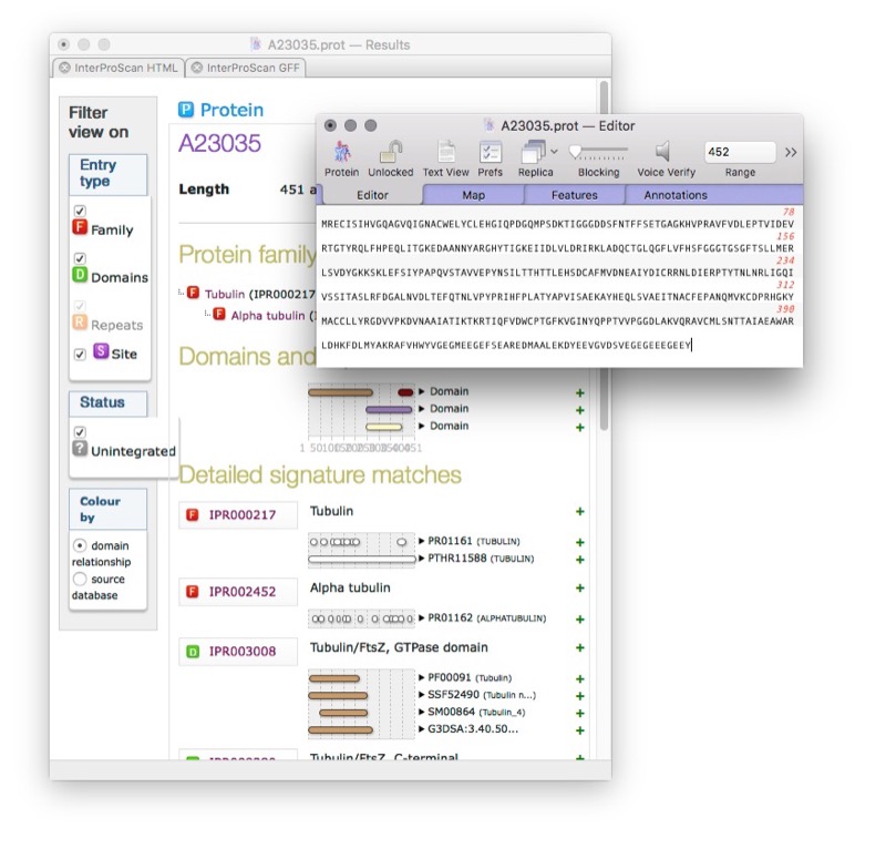 MacVector InterProScan 蛋白質分析